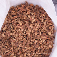 Fournisseur professionnel de nouvelles graines de galanga katsumade biologiques